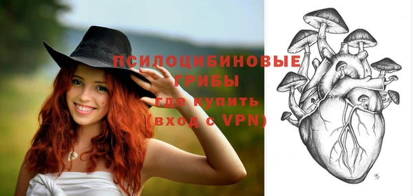 MDMA Premium VHQ Белокуриха