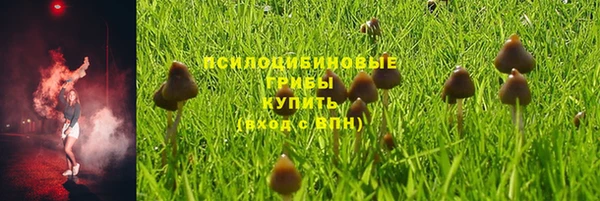 spice Балабаново