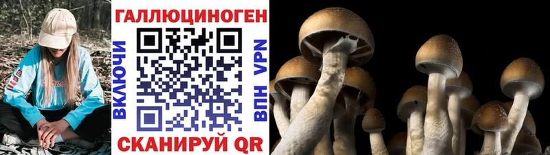 Галлюциногенные грибы прущие грибы Новотитаровская